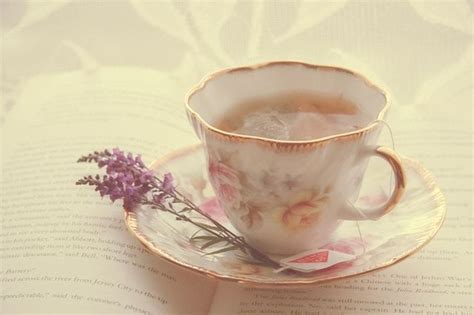 Lavender Morning Tea Afternoon Tea Morning Mood Morning Light