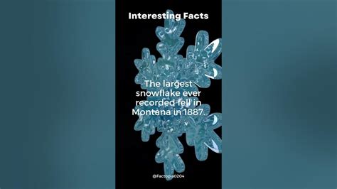 The Largest Snowflake Ever Recorded Youtube