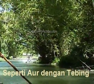 .bagai aur dengan tebing arti peribahasa : AUR DENGAN TEBING