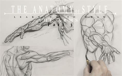 Share 137 Anatomy And Drawing Best Vn