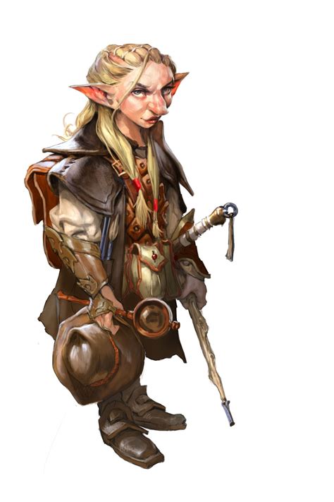 Single Characters Dungeons And Dragons Characters Female Gnome