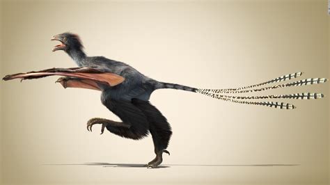 Bizarre Winged Dinosaur Discovered In China Cnn
