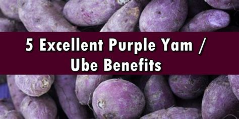 Ube Benefits 5 Excellent Health Benefits Of Ube Purple Yam