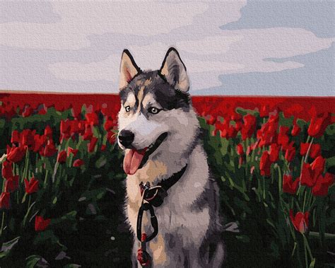 Husky Paint By Number Puppy Kit For Adults Animals Diy Etsy