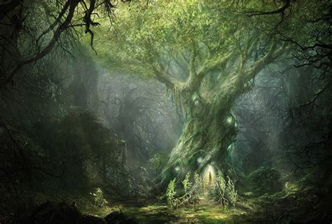 Download Enchanted Forest Old Giant Tree Wallpaper