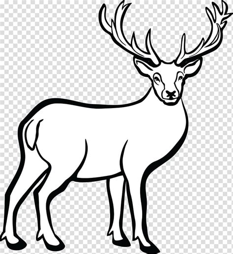 White Tailed Deer Line Art Deer Transparent Background PNG Clipart