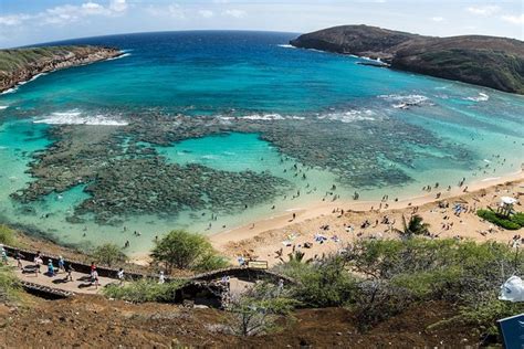 Oahu Shore Excursion Hanauma Bay Snorkeling 2023