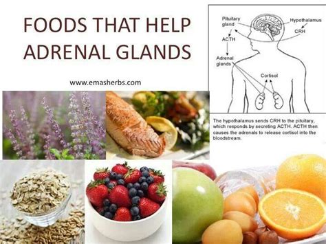 Foods That Help Your Adrenal Gland Natural Healing Let Thy Food