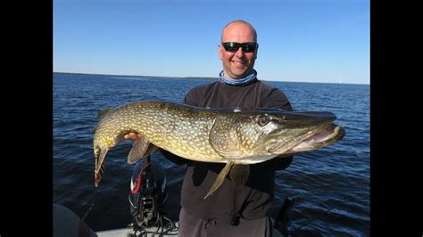 Pike Fishing Sweden 2018 Youtube