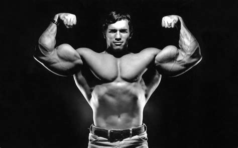 Wallpaper Men Arnold Schwarzenegger Bodybuilder Celebrity