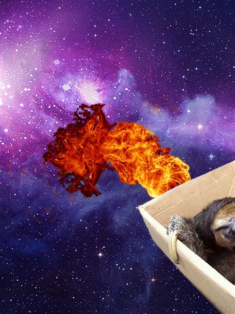 Free Download Just A Sloth Flying Through The Universe Pikdit