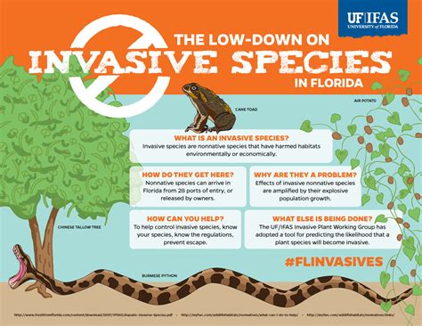 Invasive Species Awareness Visual Campaign Ufifas Communications