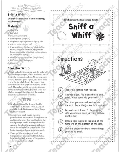 Sniff A Whiff The Five Senses Smell Life Science Shoe Box Learning