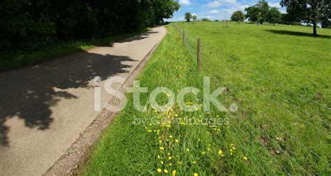 Country Lane Stock Photo Royalty Free Freeimages