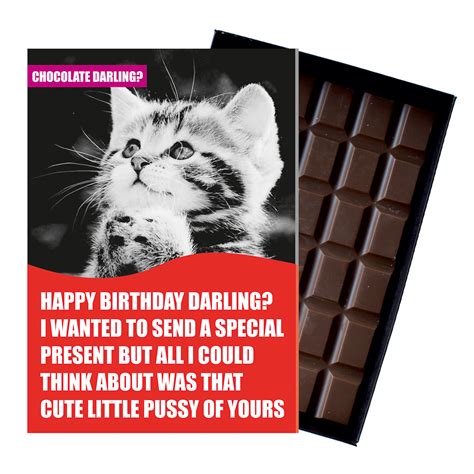 We did not find results for: Funny Cat Owner Rude Birthday Gift Women Boxed Chocolate ...