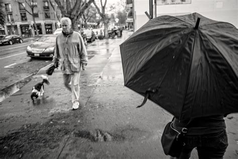 Free Images Black And White Rain Sidewalk Umbrella Weather California 2016 Sunday