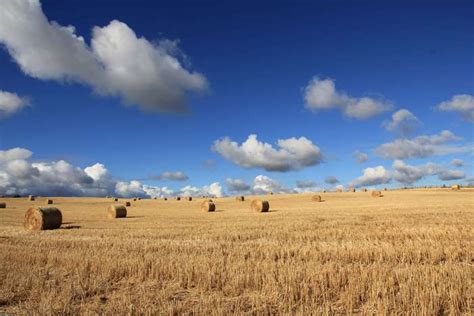 3840x2560 Clouds Countryside Crop Farm Farmland Field Hay Bales