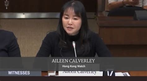 Hong Kong Watch Co Founder And Trustee Aileen Calverley Testifies At