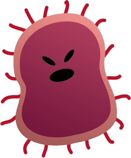 Bacteria Png Transparent Image Download Size 433x520px