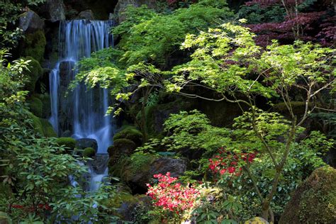 Book your tickets online for japanese garden, chandigarh: japanese gardens portland oregon - Bing Images | Japanese ...