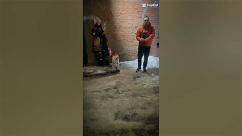 Диета гречка банан @EdisonPts #ашан #dog #edisonpts #edit #love #нугзар #банан #гречка # @EdisonPts #ашан #dog #edisonpts #edit #love #нугзар #банан #гречка # Диета гречка банан