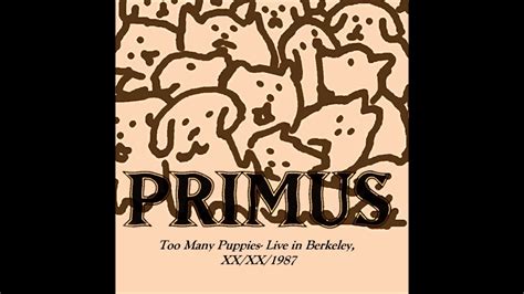 A reworked version featuring drummer bryan brain mantia can be found on their rhinoplasty ep (1998). Primus- Too Many Puppies! (Earliest Known Recording) - YouTube