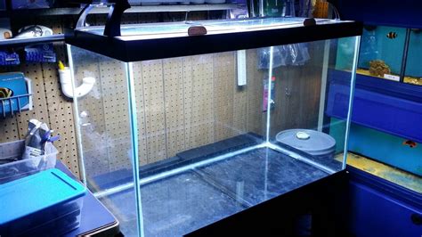 Aqueons 65 Gallon Aquarium And Odyssea 36 T5 Ho Quad Aquarium Light