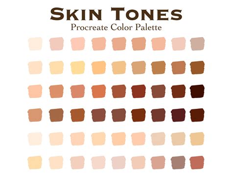 Basic Skin Tones Skin Color Palette Skin Tones Photoshop Skin Palette