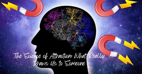 The Science Of Attraction What Really Draws Us To Someone 2024
