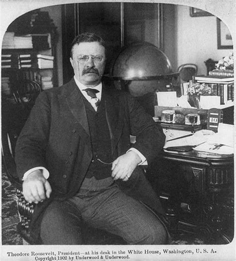 Theodore Roosevelt President At His Desk In The White House