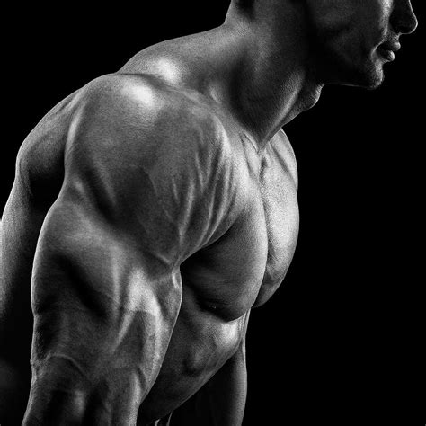 Bodyweight Buff No Equipment Muscle Builder · Workoutlabs Fit