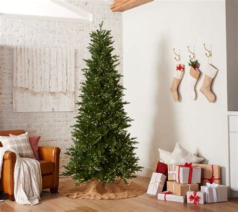 As Is Santas Best 75 Alberta Spruce Wrgb Christmas Tree