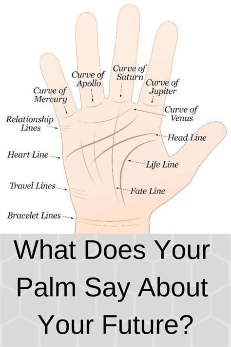 What Does Your Palm Say About Your Future Palm Reading Charts Palm