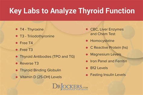 Optimal Thyroid Levels Decoding Test Results Amy Myers Md Off