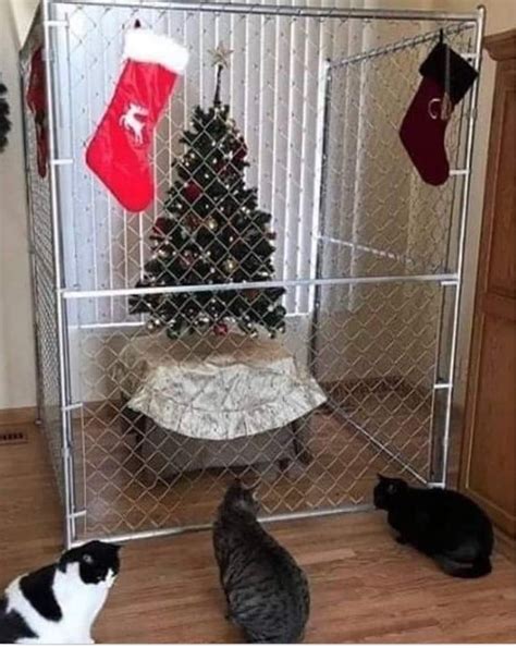Safeguard Your Christmas Tree From Your Kitty
