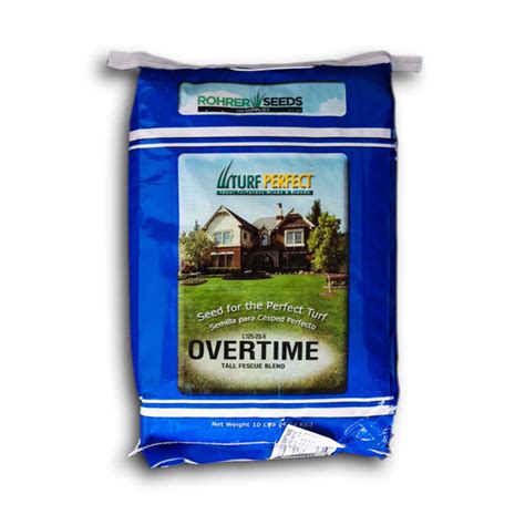 Overtime Tall Fescue Grass Seed A Drought Resistant Deep Rooting D