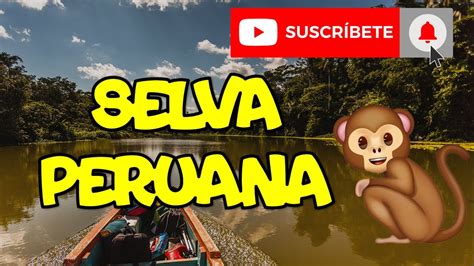 Los Siete Mejores Atractivos TurÍsticos De La Selva Peruana🐸 Youtube