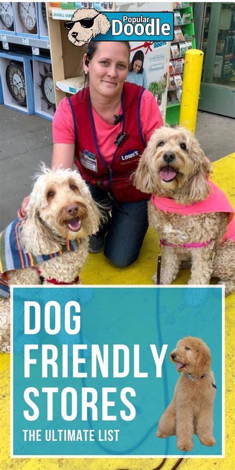 Dog friendly stores – Artofit