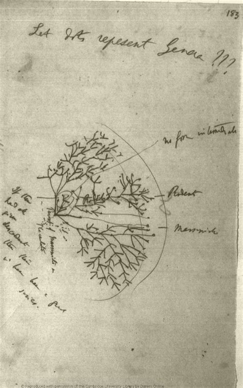 The Genealogical World Of Phylogenetic Networks Charles Darwins