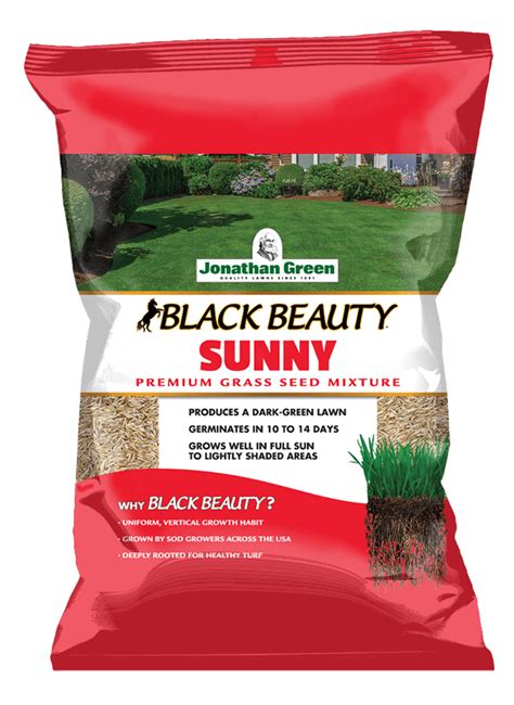 Black Beauty Sunny Grass Seed Jonathan Green