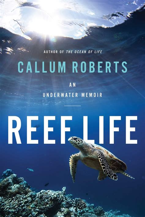 Reef Life Book By Callum Roberts Official Publisher Page Simon
