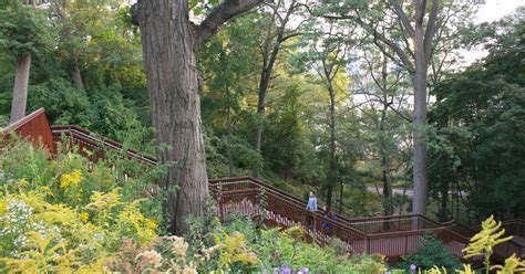 Everything to do and see in High Park