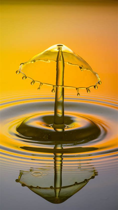 Pin by Eva 814 on Water Drops & Dew Drops | Dew drops 
