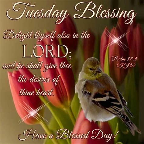 Psalm 374 Kjv Happy Tuesday Quotes Sunday Prayer Happy Tuesday Morning
