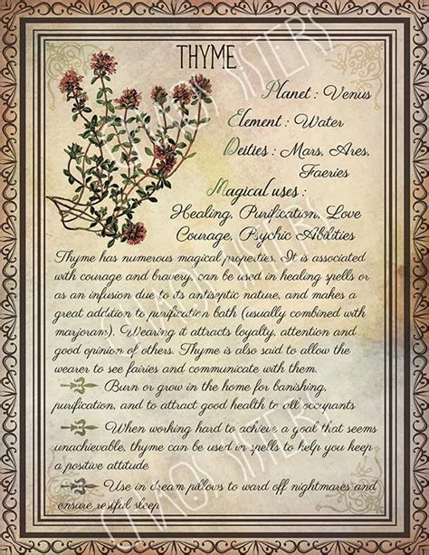 Printable Herbs Book Of Shadows Pages Set 2 Herbs Plants Etsy