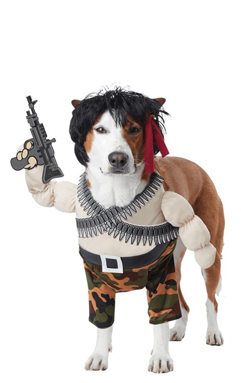 All Costumes Uk See Our Full Range Of Dog Fancy Dress