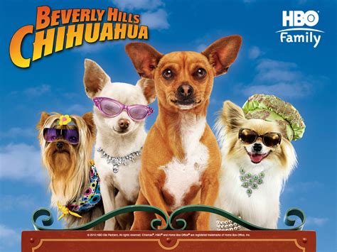 Beverly Hills Chihuahua Beverly Hills Chihuahua Wallpaper 41602058