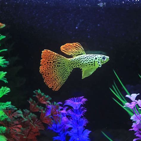 New Silicone Aquarium Artificial Tropical Fish Decoration Glowing Fish