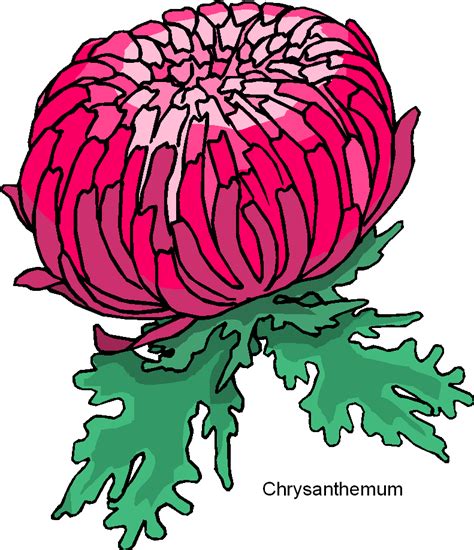 Modern Flower Clipart Free Download On Clipartmag