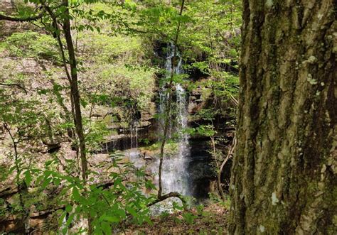 Alabamas Lost Sink Trail Leads To A Little Known Waterfall